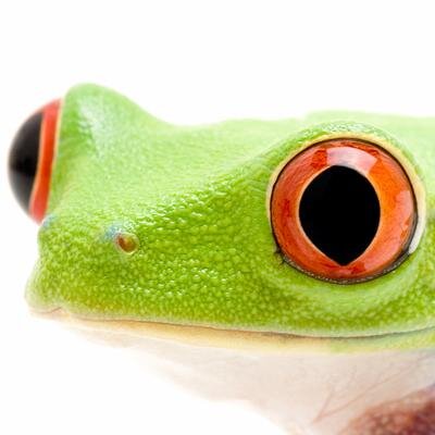 A progressive web consultancy with a passion for SEO, sublime web design and all things internetie!