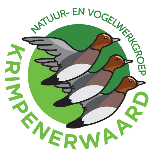 DeNVWK's profile picture. 