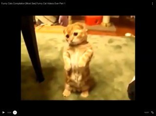 For your daily you tube commantary search Marshmallow Gaming (On YouTube)