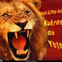 07mustafa21's profile picture. Koyu bir gs taraftarı