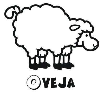 Amoren37's profile picture. Empresario Castellano-Manchego nacido en 1976.*Viva el vino y el cordero manchego*
~Ilusión , compromiso y humildad~