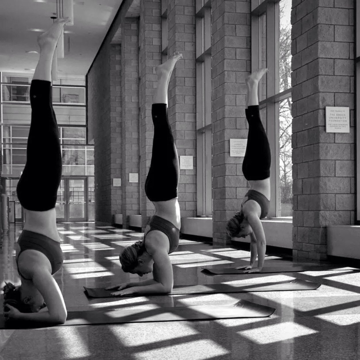 Part time accountant full time yogi.
