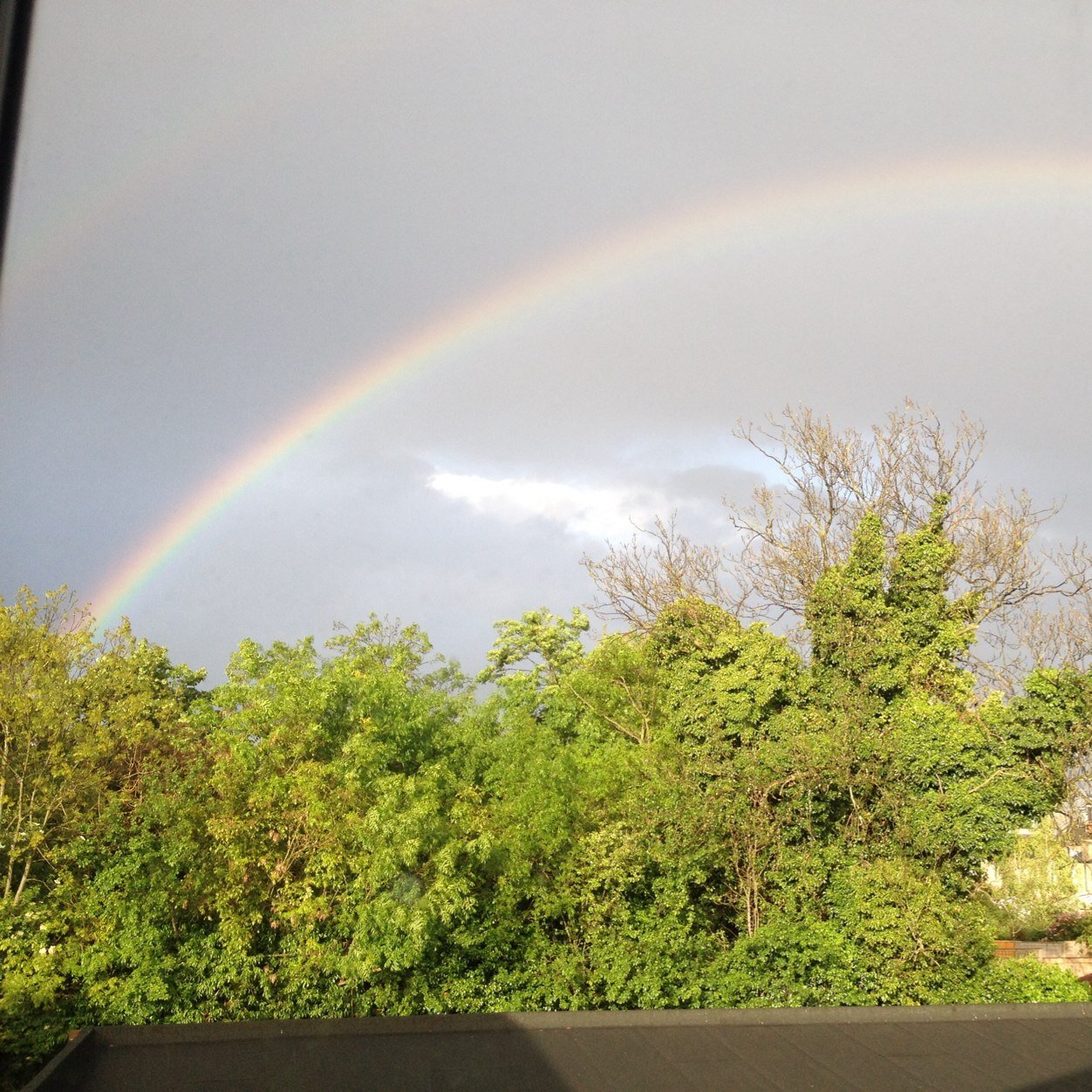 daz_80's profile picture. 