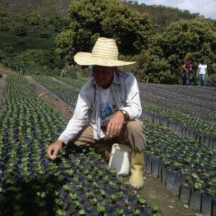 En cumplimiento de las 12 Desiciones del Pdte Hugo Chavez: Elevar la calidad de vida de la Familia Caficultora.