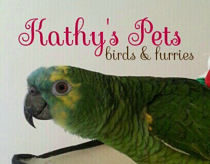 kathys_pets's profile picture. Help and advice for parrot & small pet owners, parrot toys & gyms hand made from natural materials, wild bird tables etc made to order.