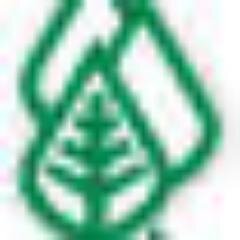 hlc_perryhall Profile Picture