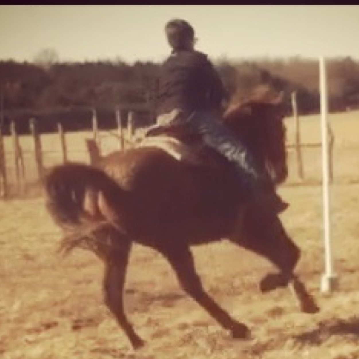 kadecummings58's profile picture. 14 Rodeo Kade Country!