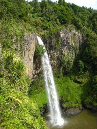 raglanchambernz's profile picture. new chamber of commerce