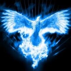 arian2399's profile picture. 