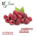 5bfruits (@5bfruits) Twitter