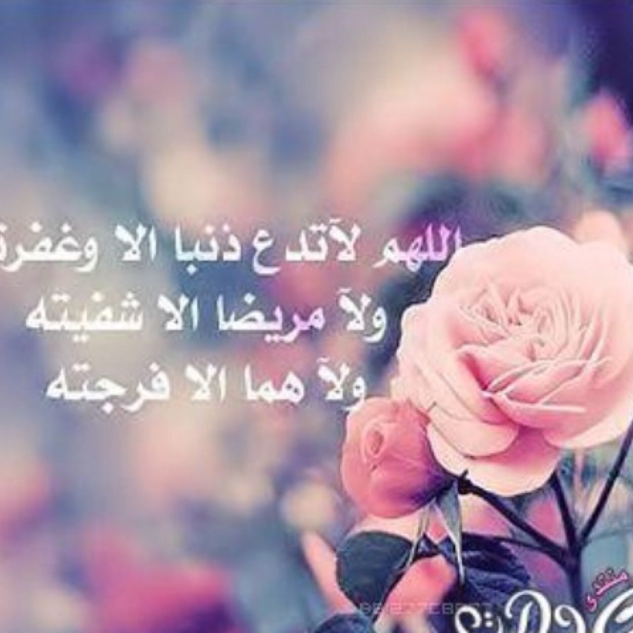 اقرب راسين بالحلال والي جاد يكلمني عندي بنات قبايل و خضاير و عندي رجال قبايل و خضاير ٠٥٥٩٢٠٣٣٣٩ و خبرتي ١٥ سنه