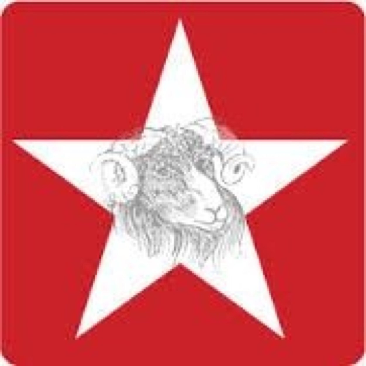 Vømmøldalens røde radikale! Verdal Rød Ungdom er Lokallaget til Rød Ungdom i Verdal. Leder: Matheus Lerfald Tlf: 95 52 48 86 | Mail: matheus@live.no