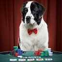 Richard Eley - @cuteanimals232 - Twitter