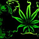 Sweedey - @eli_sweeney - Twitter