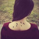 Beata Sroka - @Sroka_B - Twitter