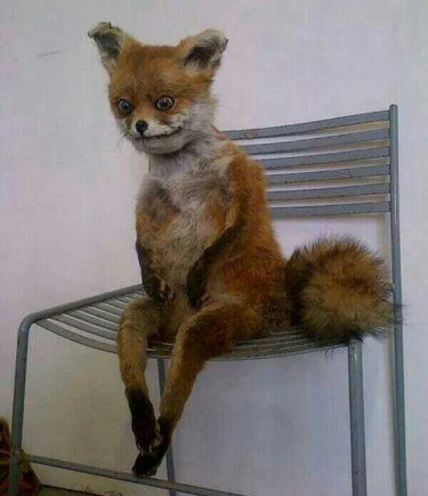 seebyrdie's profile picture. Hello there.