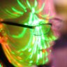 benni_ka's profile picture. Webentwickler, Greensock-Enthusiast, Phabricator-Fan. Emotional, vernunftbegabt & verwundert über die unerträglich anstrengende Lagerbildung hier...
🏳️‍🌈