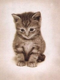 Valentina5gd's profile picture. 