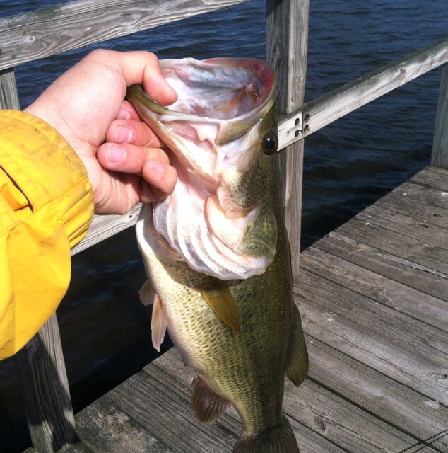 FishingMichiga1's profile picture. Profile to share fishing pictures, fishing spots, and anything related to fishing.