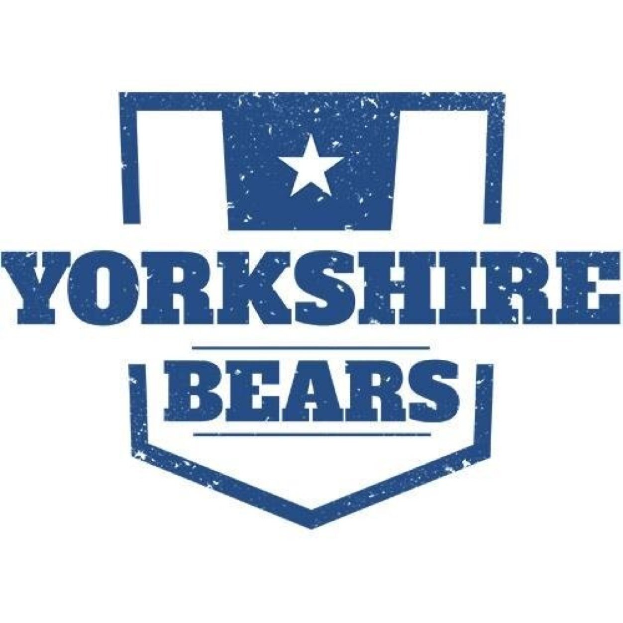 The Yorkshire Bears is a not for profit social group for Bears, Cubs, Otters and their admirers. Creating social events in and around the Yorkshire area.