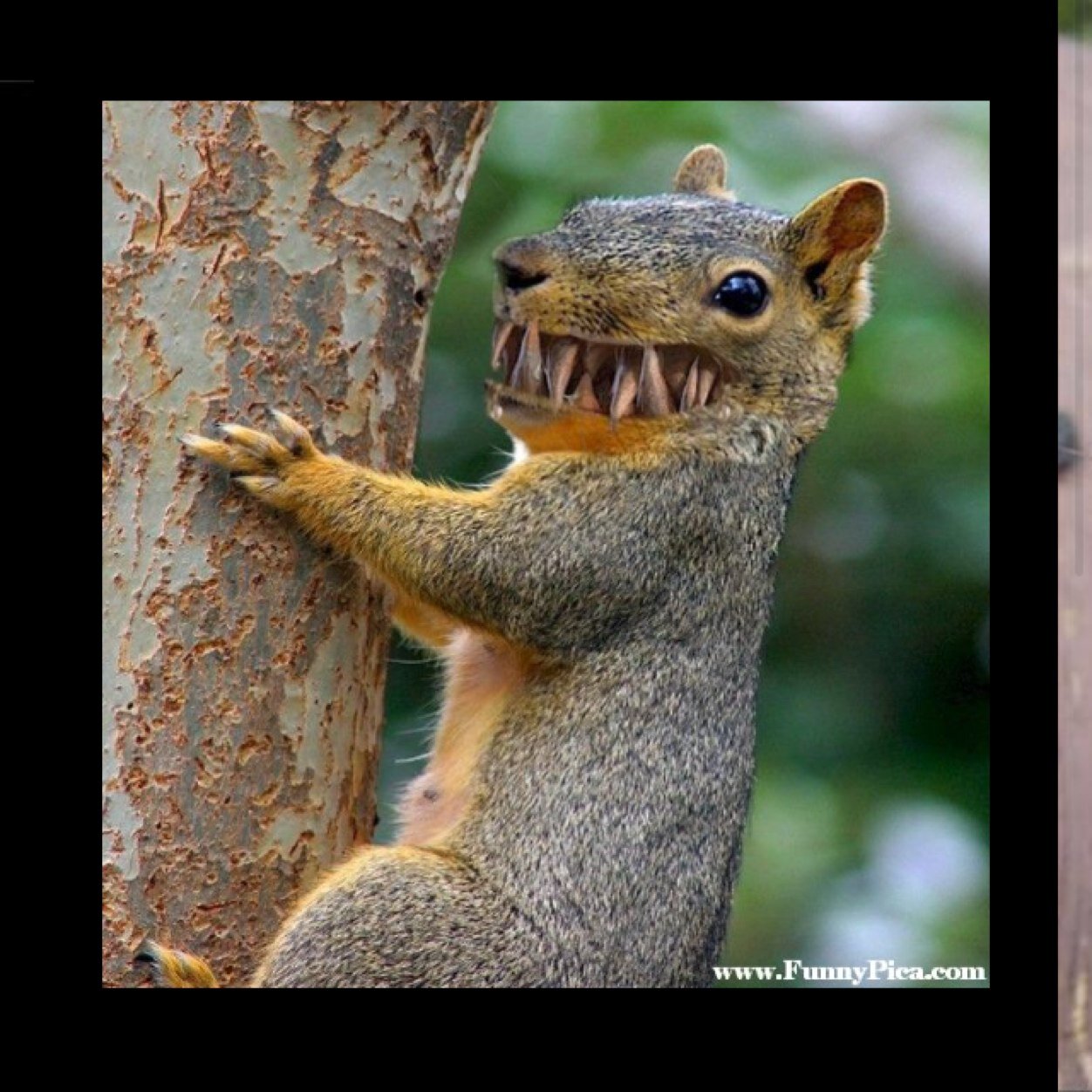 jennibruin16's profile picture. 