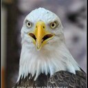 mark casteel - @CasteelMark - Twitter