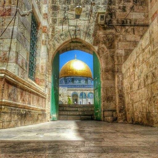 نتابع كل شئ في #المسجد_الأقصى و مدينة #القدس المحتلة وونقل لكم الصور والأخبار بشكل دائم ومتواصل 

تابعونا وكونوا بالقرب منا