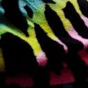 Hope Thayer - @HopeThayer - Twitter