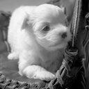 Justin Lawrence - @JusPhotograph - Twitter