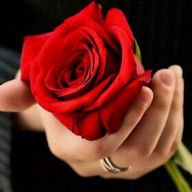 ZeyadMosad's profile picture. ياربي مالي سواك