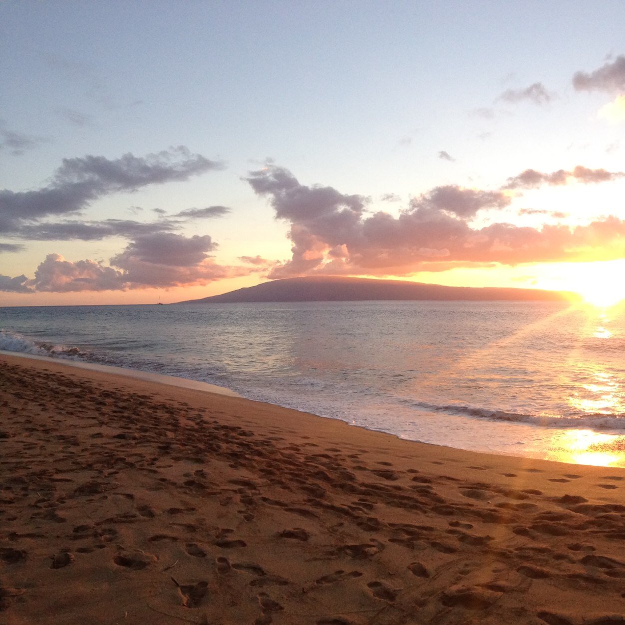 larboleda's profile picture. 