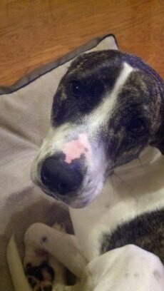 littlejster1's profile picture. 