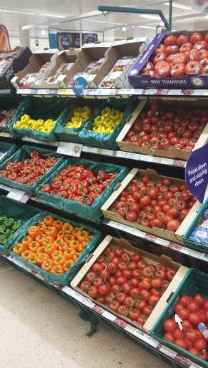 2877produce's profile picture. 