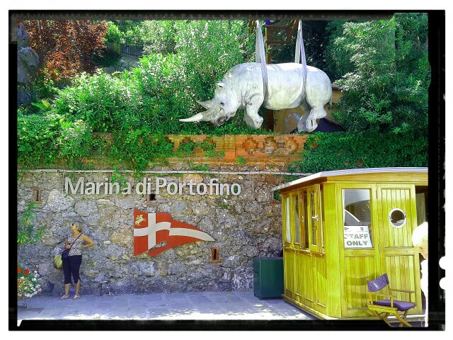 bariffo21's profile picture. Vive y deja.............de dar por el culo.