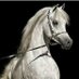 أبن الشايب (@abnalshayp) Twitter profile photo أبن الشايب (@abnalshayp) Twitter profile photo