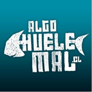 En Chile, la corrupción y la mala política generan pobreza y desigualdad. Por eso queremos decir lo que Huele Mal!