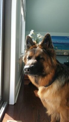 missmollyriggs's profile picture. smiling is my favorite thing. #bestdayofmylife