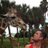 dknu's profile image