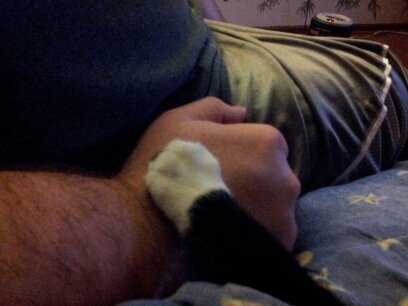 suomirakastaa's profile picture. 