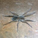 Kyle lee wells - @kylebigheavy12 - Twitter