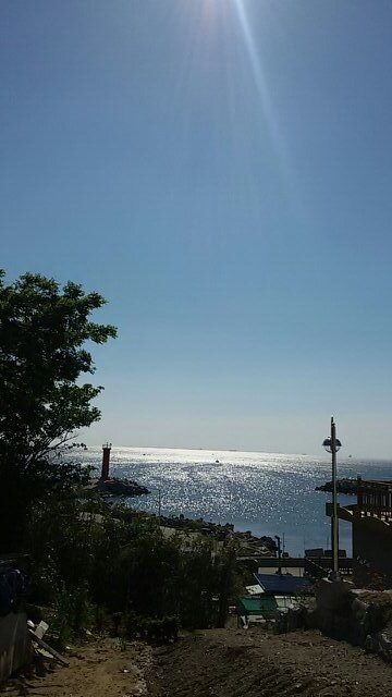 mekonm's profile picture. 함께 살아가기~~^^