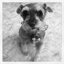 Aracely Mayorga - @aragmh86 - Twitter