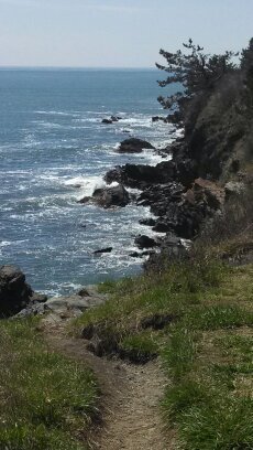 mapleleafjeff's profile picture. 