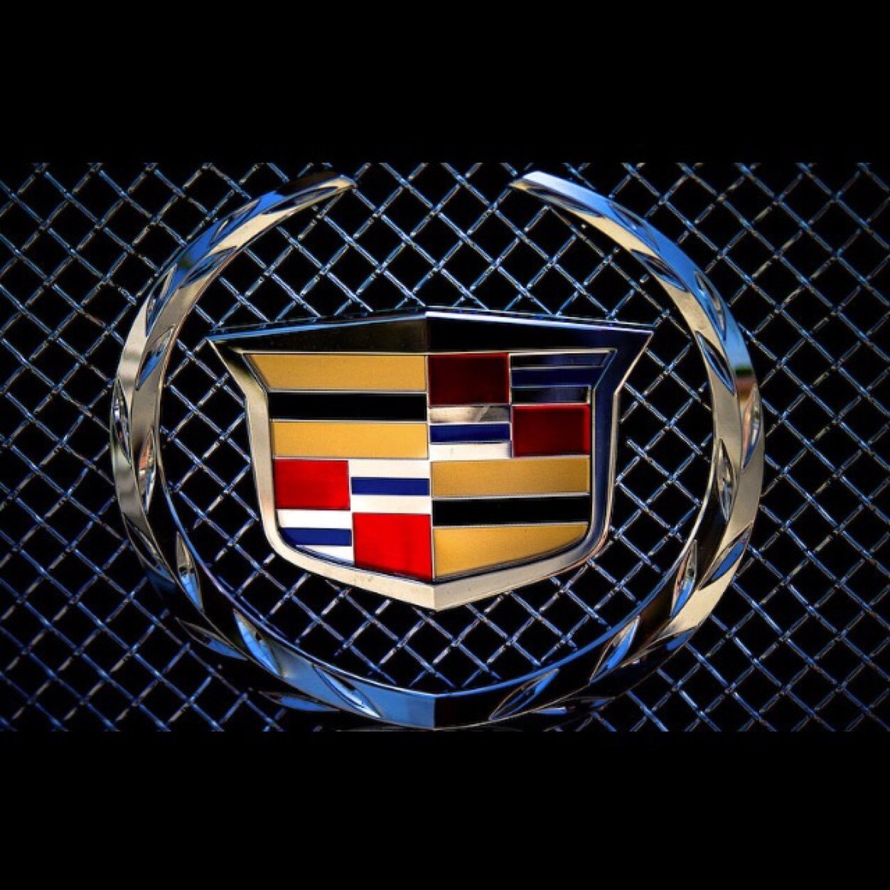 AJlong117's profile picture. 