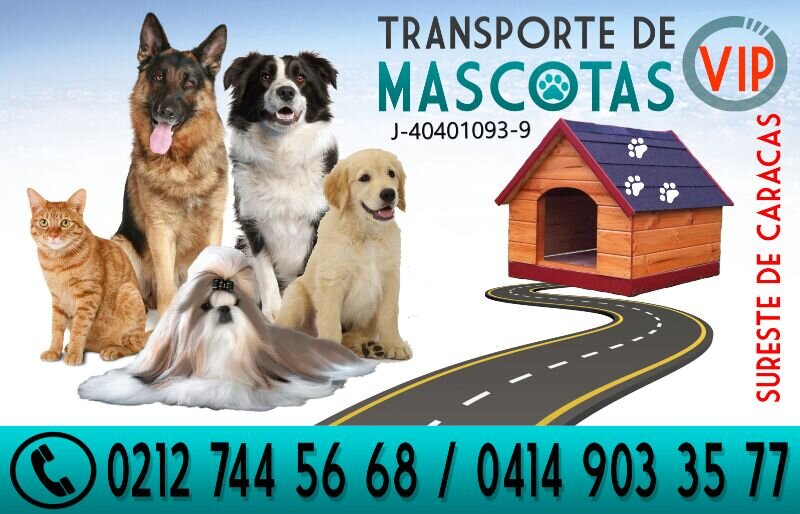 Empresa dedicada al transporte adecuado y seguro para sus mascotas en el Sureste de Ccs / Guardería (Razas Peq)/Servicio de fumigación  02127445668/04149033577
