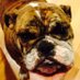 JTK (@jentkovacs) Twitter profile photo
