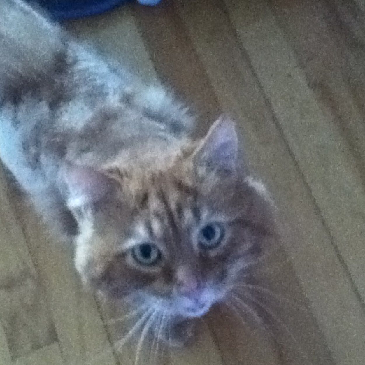 68jagrdevilsman's profile picture. 