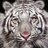 erikpastrana_21's profile image