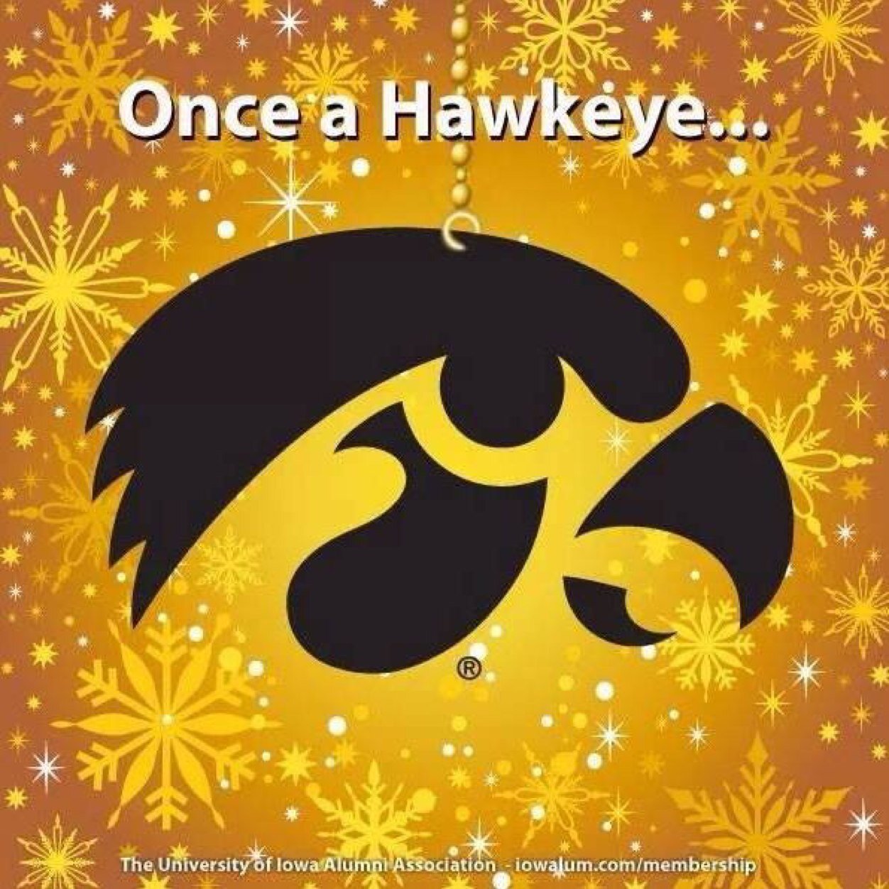 classyemt's profile picture. 