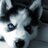 tfarran_MHE's profile image